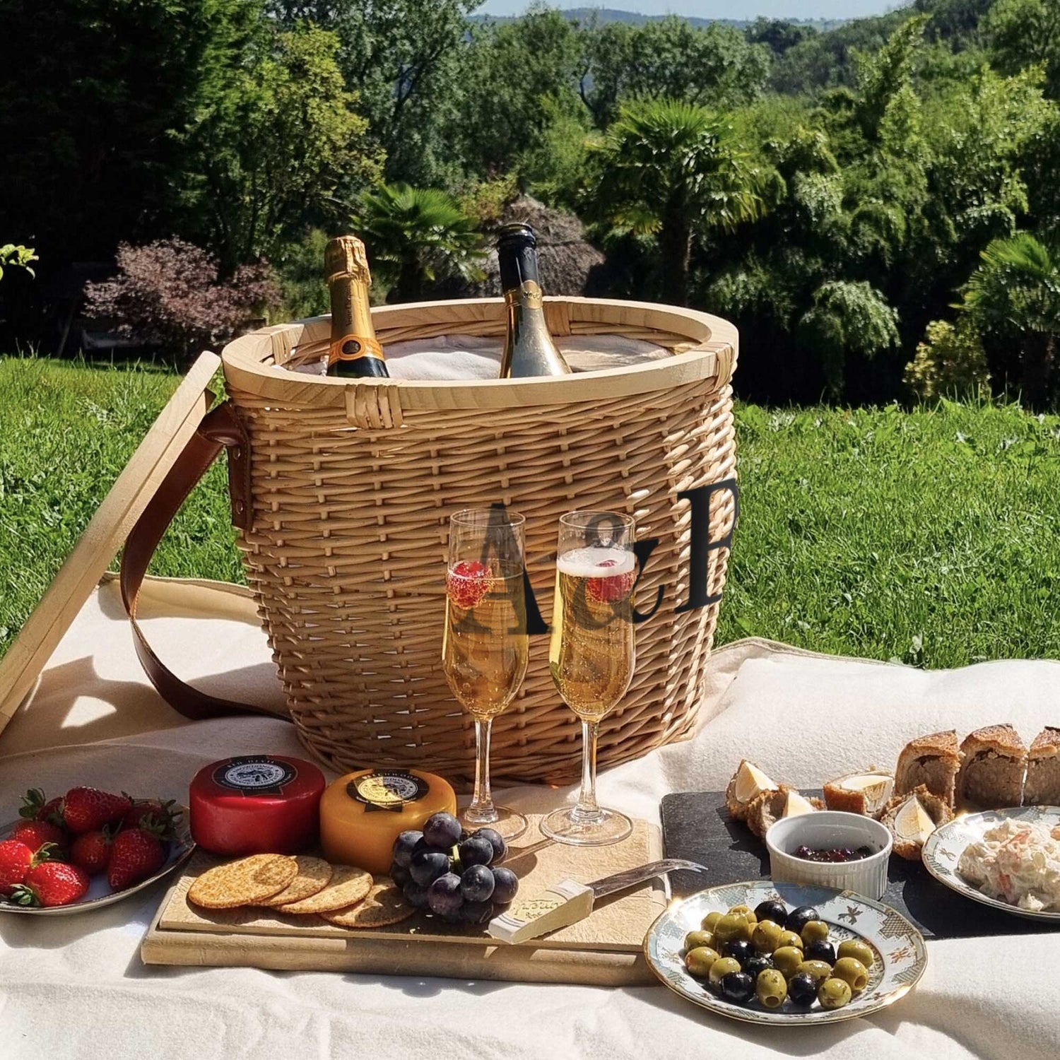 Cooler Picnic Basket with Shoulder Strap