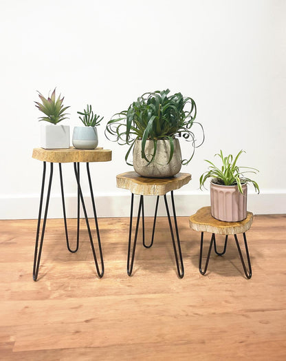 Industrial Wood Plant Stand Table Set  of 3 - Natural