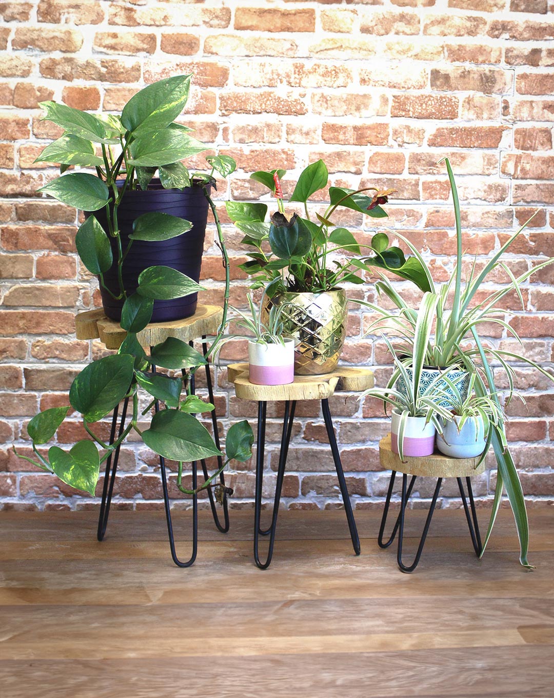 Industrial Wood Plant Stand Table Set  of 3 - Natural